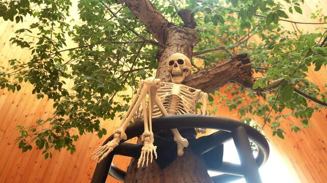 anatomy, architecture, art, background, bizarre, bone, branch, building, ceiling, character, concept, creative, creepy, dead, death, decoration, design, display, figure, frame, funny, green, halloween