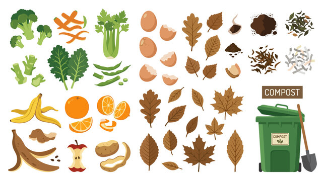 Set of organic waste for composting, including vegetable scraps, fruit peels, eggshells, dry leaves, and garden debris