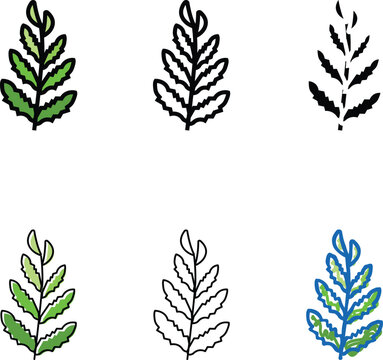 african water fern color icon vector. african water fern sign. isolated variety symbol