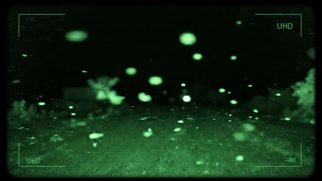 a cinematic night vision camera overlay with green monochrome lighting, digital noise, realistic infrared atmosphere