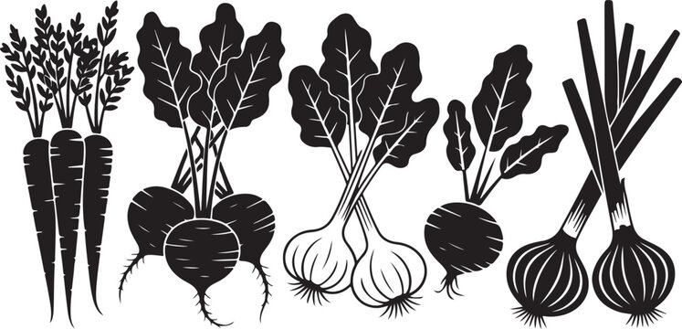Vegetable harvest collection: fresh carrots, beets, and spring onions, a healthy food set for kitchen use and gardening.