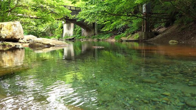 4k 　新緑の森と木ノ俣川の清流