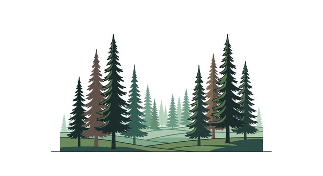 Pine forest landscape illustration with coniferous trees on white background