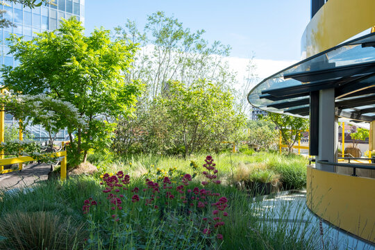 Curved yellow building surrounds a rooftop garden where plants, flowers and trees grow along a terrace under sky, architecture and green landscape