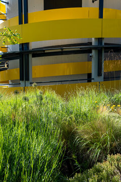 Yellow facade rises above rooftop garden grass and plants, with balcony lines, curved building detail, terrace architecture and daylight