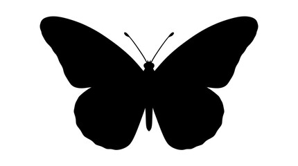 Black butterfly silhouette against a white background silhouette © Alom