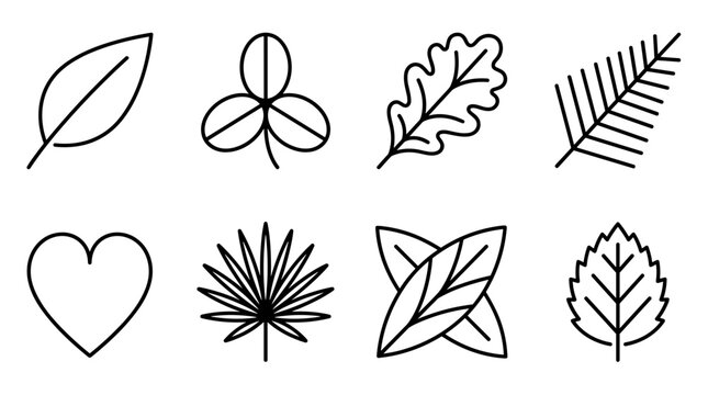 Botanical line icons set with various leaf shapes oak clover fern palm and heart shape isolated on white background for design