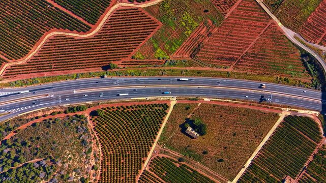 Top down aerial view of agricultural fields and road. High angle top down view of geometric citrus orchards, terracotta soil, rural buildings and a curved highway with traffic.