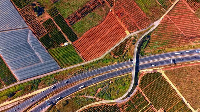 Aerial view of diverse agricultural fields and greenhouses. High angle view of greenhouses, citrus orchards on red soil, and an overpass bridge crossing a highway.