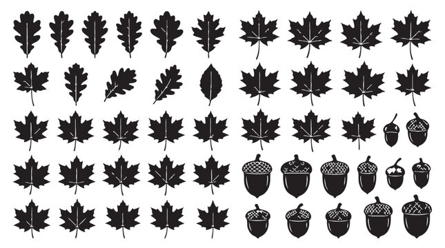 Set of autumn leaf and acorn silhouettes for seasonal design elements with silhouette, seasonal