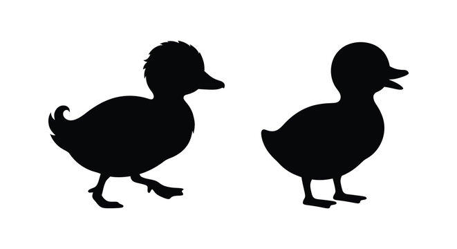 Two duck silhouettes in a simple black and white graphic illustration silhouette