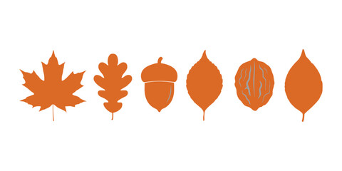 Orange leaf and nut on white background leaves nuts acorn walnut vector illustration © Fahimaakter