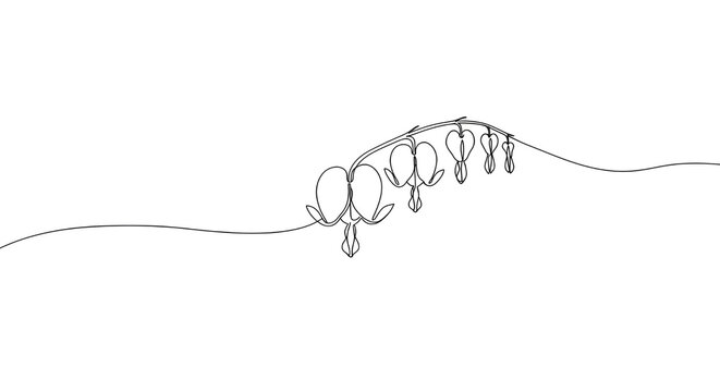 Continuous Line Art Drawing of Bleeding Heart Flowers on White Background