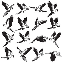 Obraz premium Parrot silhouettes in dynamic flight poses against a white background for graphic design