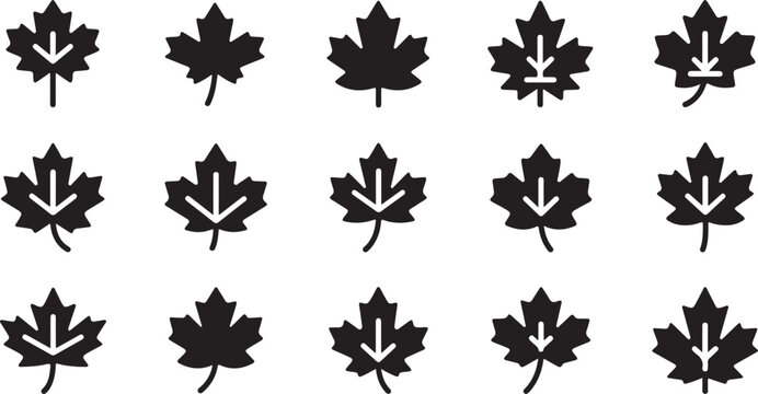 Black Maple Leaf Icons, Vector Leaves, Graphic Symbols, Canada Emblem