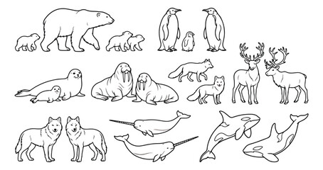 Arctic animals line art collection, polar wildlife vector set, minimalist animal coloring icons © usmi