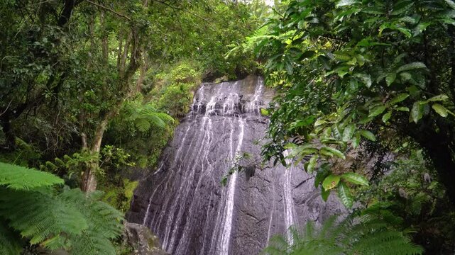 Tropical Waterfall in El Yunque Rainforest, Puerto Rico