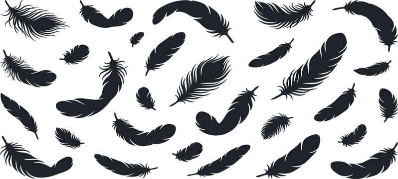 Falling Black Feather Silhouette Pattern Set with Floating Bird Plumage and Wing Quills for Bohemian, Tattoo, and Graphic Designs