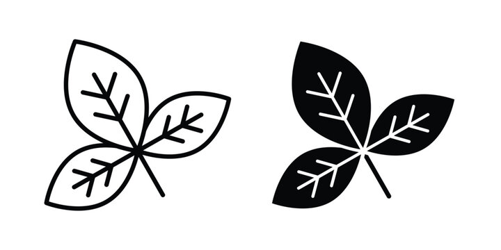 Basil icon