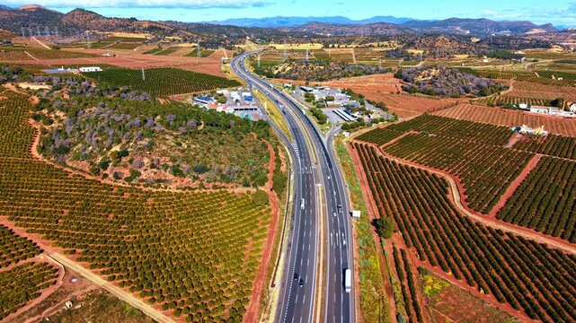 Highway passing through vast orange plantations in Spain. Aerial landscape of multi-lane highway crossing agricultural fields of citrus trees under blue sky.