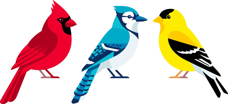 North American Backyard Songbirds Vector Set Featuring Red Northern Cardinal, Blue Jay, and American Goldfinch Flat Cartoon Wildlife Illustrations