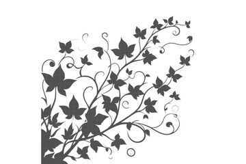 Fototapeta premium elegant floral design with intricate vines and leaves