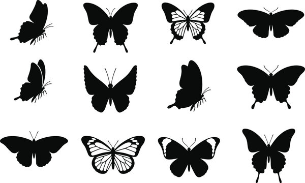 Butterfly silhouette icon set with black butterflies vector illustration collection