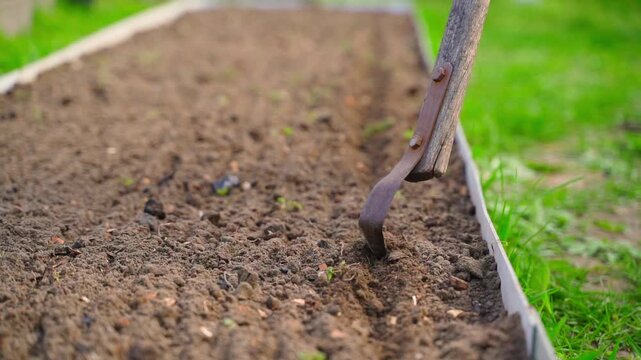 Making planting row with hand hoe in garden bed close-up