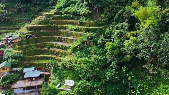 Aerial climb reveals remote hillside homes beside ancient tropical rice terraces