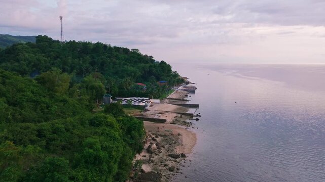 Lush coastal forest meets calm seaside waters beneath soft tropical dusk light