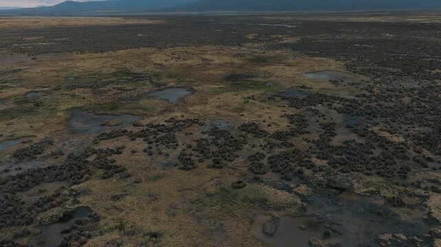 Sajama National Park, Sajama, Bolivia, plains, grassland, Altiplano, Andes, Andes Mountains, aerial view, drone view, drone photography, aerial photography, high altitude, wilderness, nature, scenic l