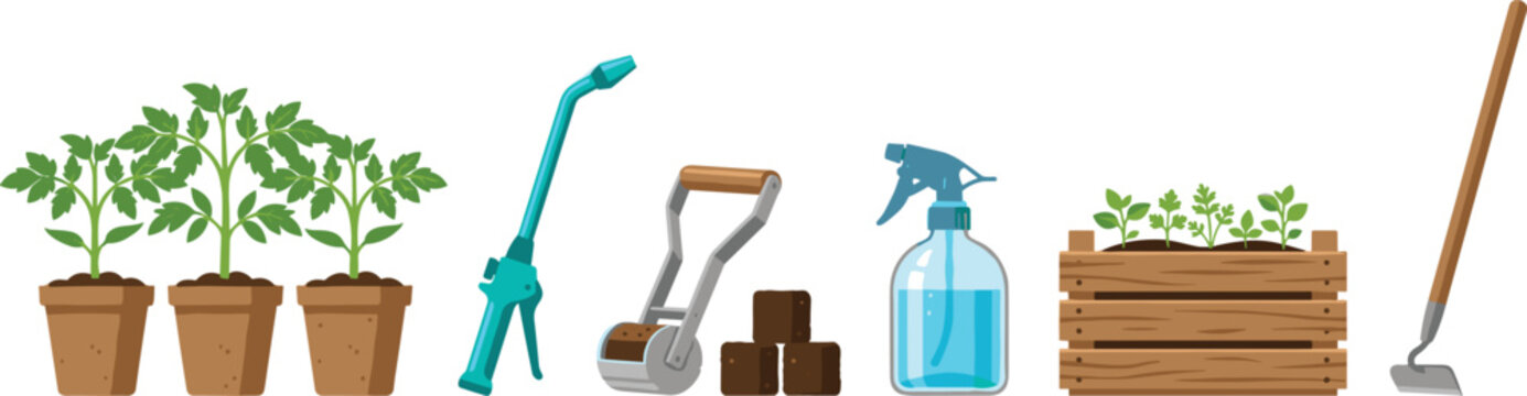 Gardening equipment vector illustration set featuring potted tomato plants wooden planter box soil blocker spray bottle watering wand and metal hoe isolated on white.