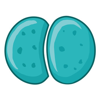 Blue Diplococci Kidney Shaped Vector Illustration