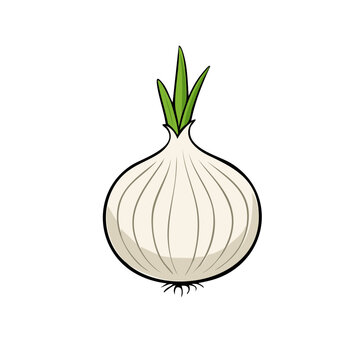 Simple cartoon illustration of a white onion with green sprouts on a white background