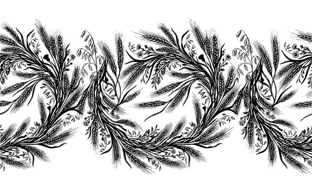 Agricultural wheat and barley horizontal pattern vector