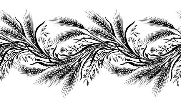 Harvest wheat rye and barley horizontal pattern vector