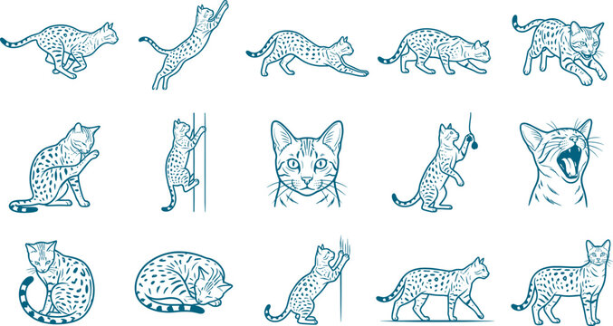 Set of spotted cat sketches showing leopards or bengal cats in active movement poses
