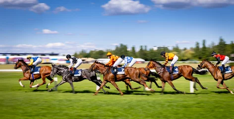 Fotobehang Paardensport Exciting horse race with jockeys competing at full speed on a racetrack. Dynamic sports action captured with motion blur, showcasing strength, speed, competition and equestrian performance.  © Jag_cz