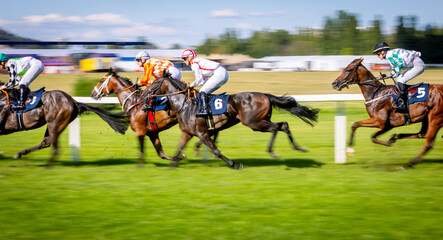 Exciting horse race with jockeys competing at full speed on a racetrack. Dynamic sports action captured with motion blur, showcasing strength, speed, competition and equestrian performance. © Jag_cz