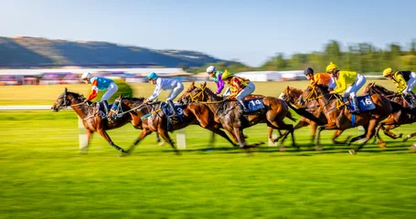 Fotobehang Paardrijden Exciting horse race with jockeys competing at full speed on a racetrack. Dynamic sports action captured with motion blur, showcasing strength, speed, competition and equestrian performance.  © Jag_cz