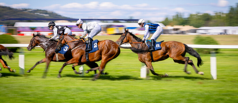 Exciting horse race with jockeys competing at full speed on a racetrack. Dynamic sports action captured with motion blur, showcasing strength, speed, competition and equestrian performance.