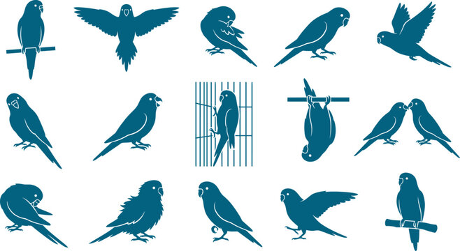 Budgie parakeet bird silhouette set showing multiple avian poses and flying actions