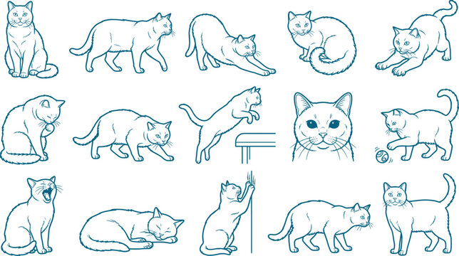 Domestic cat line art variety pack showing common felines in multiple natural and active poses