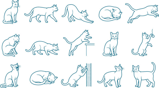 Sleek domestic cat line art set showing agile felines in multiple natural and active positions