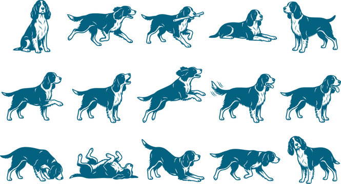 Springer spaniel dog silhouette set performing various actions on a transparent background collection