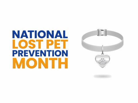 National lost pet prevention month concept with a pet collar and heart shaped tag isolated on white background