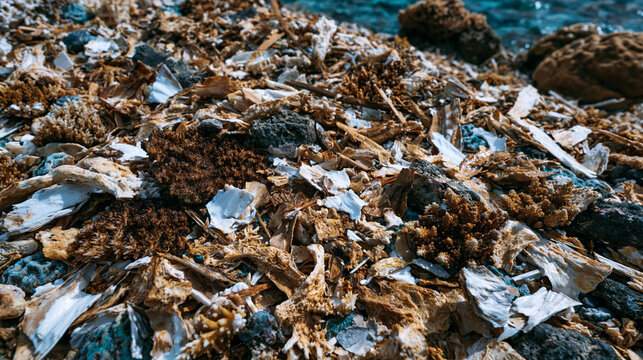 Coral rubble field extending across reef flat following storm disturbance event, fragmented porites and acropora skeleton debris overlapping in chaotic mosaic, bleached calcium carbonate architectur
