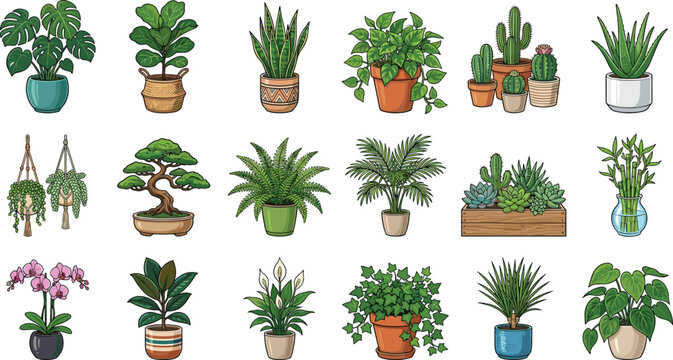 Houseplants vector set featuring monstera snake plant fiddle leaf fig cactus succulents and tropical potted plants collection