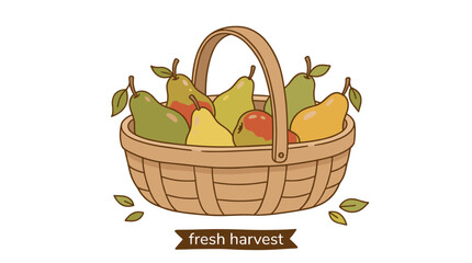 Fototapeta premium A hand‑drawn vector illustration shows pears in a basket, a wooden pot filled with ripe, delicious fruit isolated on a white background, depicted as a watercolor painting of natural, organic juice