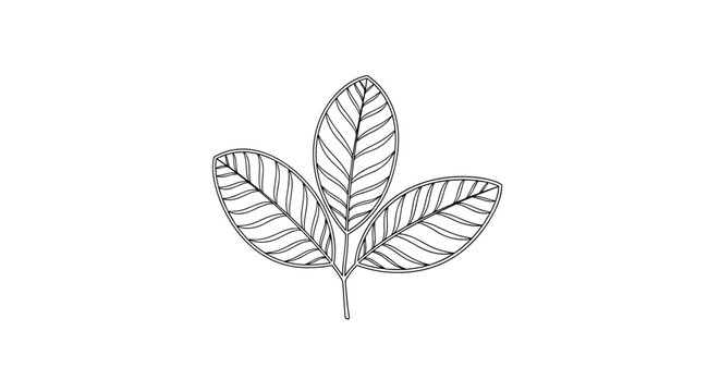 Minimalist line art drawing of three connected leaves, representing growth, nature, sustainability, or organic products.